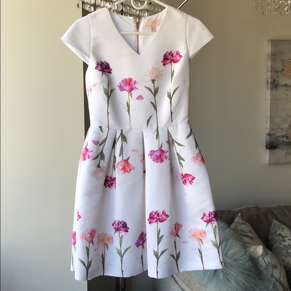 COPY - Ted Baker Dress